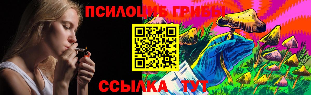 Галлюциногенные грибы Psilocybine cubensis  сколько стоит  Каменск-Шахтинский  Вход с VPN 