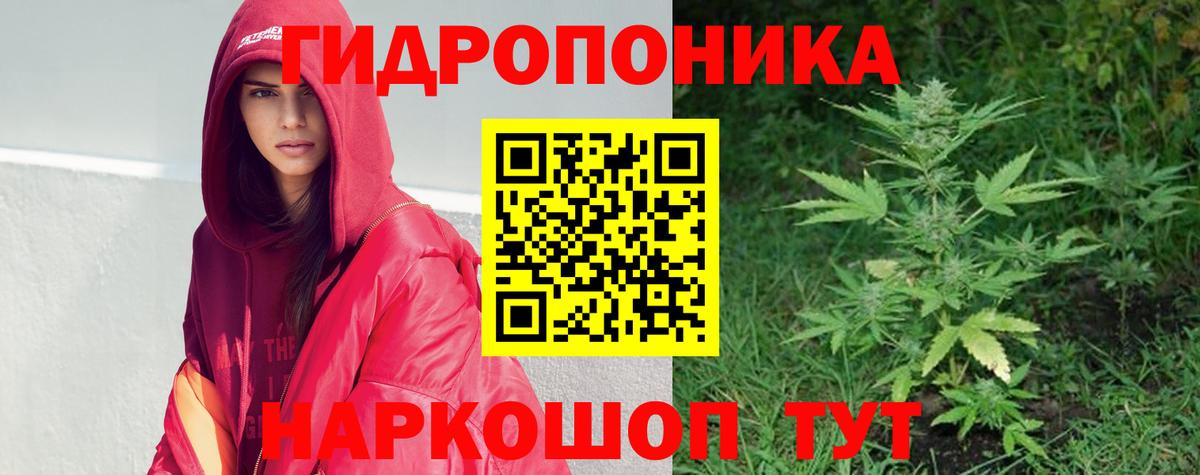 Конопля семена Каменск-Шахтинский